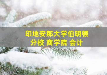 印地安那大学伯明顿分校 商学院 会计